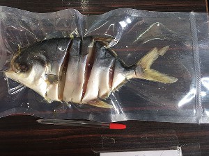 泽记金鲳鱼 250克